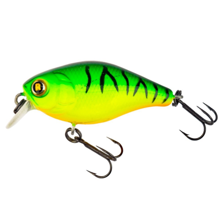 AKARA BABBLER 40F I 3G