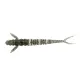 FISHUP FLIT 1.5-4"