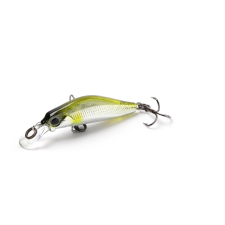 JACKSON KANADE 50MM 5G
