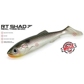 MOLIX RT SHAD 7 I 180MM