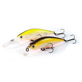 PONTOON 21 CHAOS 72MM