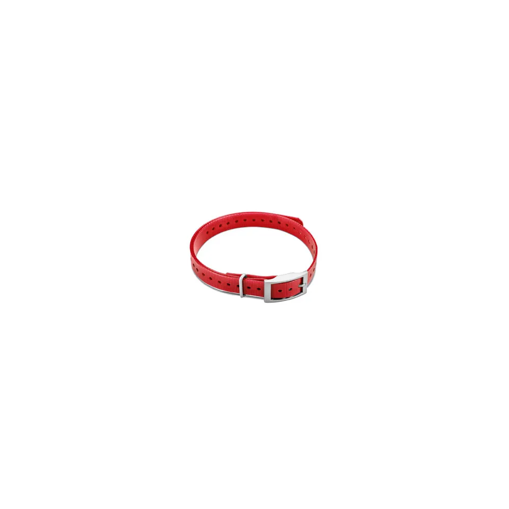 3/4" Square Buckle Collar Strap (Red)