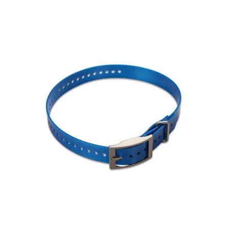 1-INCH COLLAR STRAP - BLUE