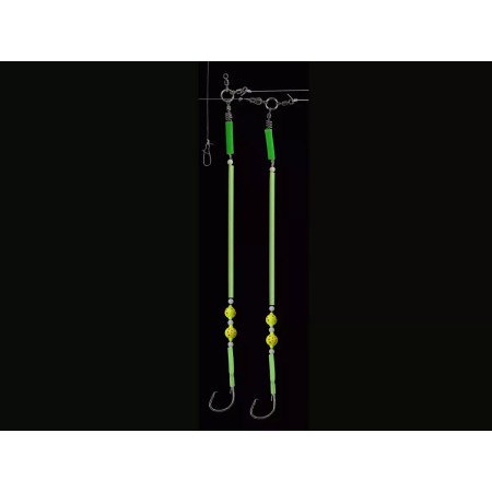 DEGA NORWAY LEADER SYSTEM