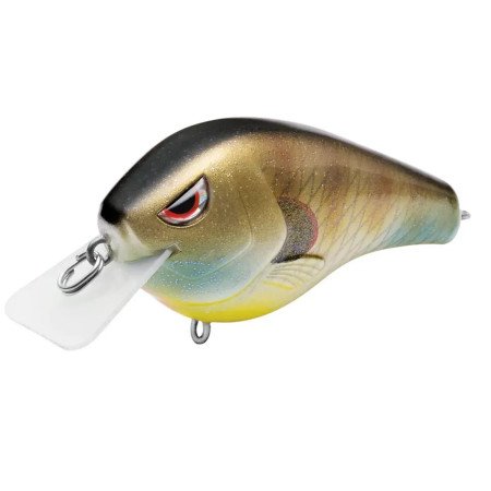 SPRO FAT PAPA SB 55 / 70