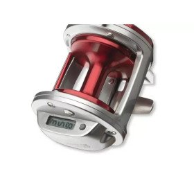 DAIWA SEALINE ISHIDAI REEL