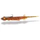 Quantum Pelagic Shad Set PIN