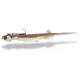 Quantum Pelagic Shad Set PIN