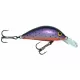 Gloog Hektor lures