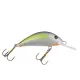 Gloog Hektor lures