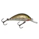 Gloog Hektor lures