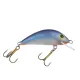 Gloog Hektor lures