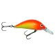 Gloog Hektor lures