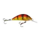 Gloog Hektor lures