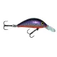 Gloog Hektor lures