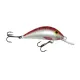 Gloog Hektor lures