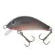 Gloog Hektor SR lures