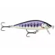 Rapala CountDown Elite lures