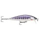 Rapala CountDown Elite lures