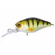 Illex Chubby 38 MR Lures