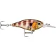 Rapala X-Light Shad