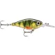 Rapala X-Light Shad