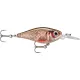 Rapala X-Light Shad