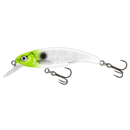 Salmo Slick Stick lures