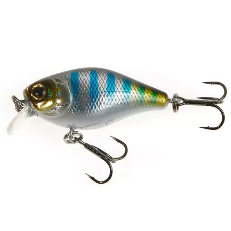 Lucky John Chubby 4F