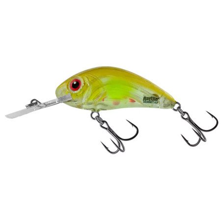 Salmo Hornet Rattlin lures