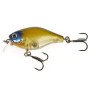 Lucky John Chubby 4F
