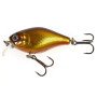 Lucky John Chubby 4F