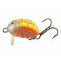 Hunter Polska Bromba