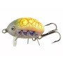 Hunter Polska Bromba