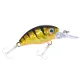 Balzer Mini Diver FL