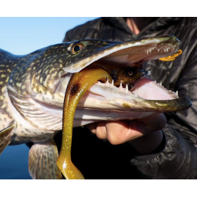 HEADBANGER BANGERSHAD 22CM 42G