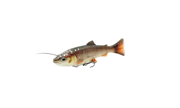 SAVAGE GEAR # 4D LINE THRU PULSE TAIL TROUT 16-20CM