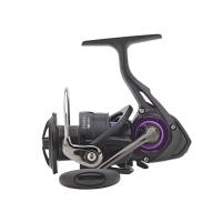 Daiwa Prorex LT D Reels